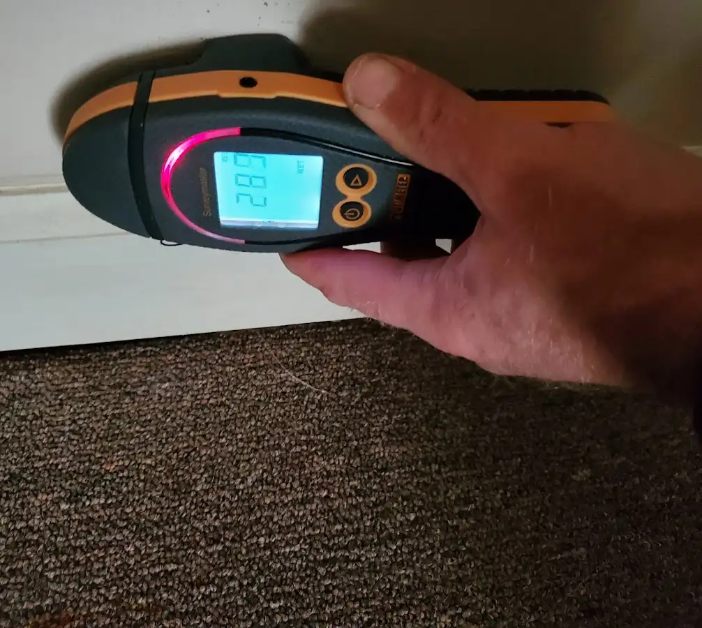 Moisture detection at baseboard during Sewage Cleanup & Sanitation in Waveland