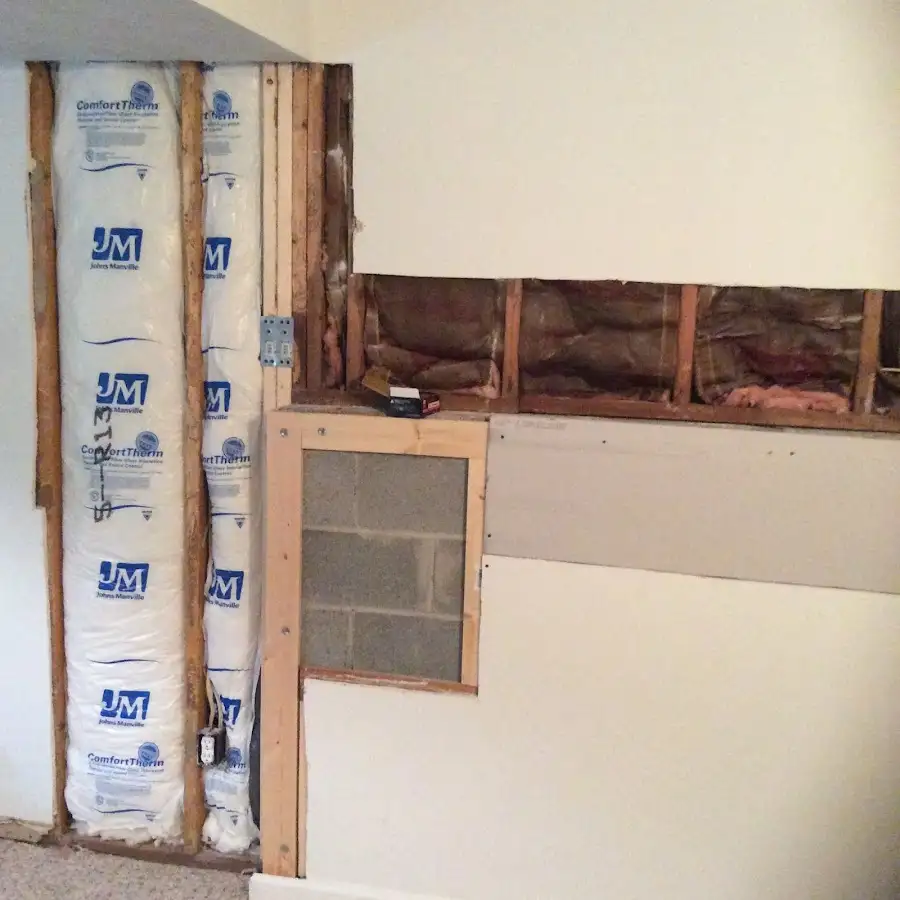 Wall insulation replacement during Odor Removal & Deodorization in Waveland
